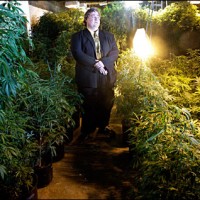 Paul Stanford with medical marijuana garden