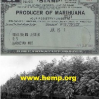 Paul Stanford article about hemp, marijuana and cannabis
